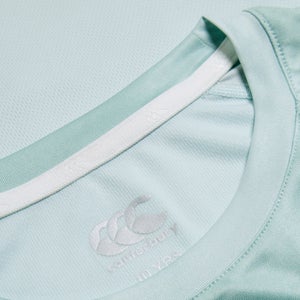 Mens Vapodri Graphic Superlight T-Shirt Green