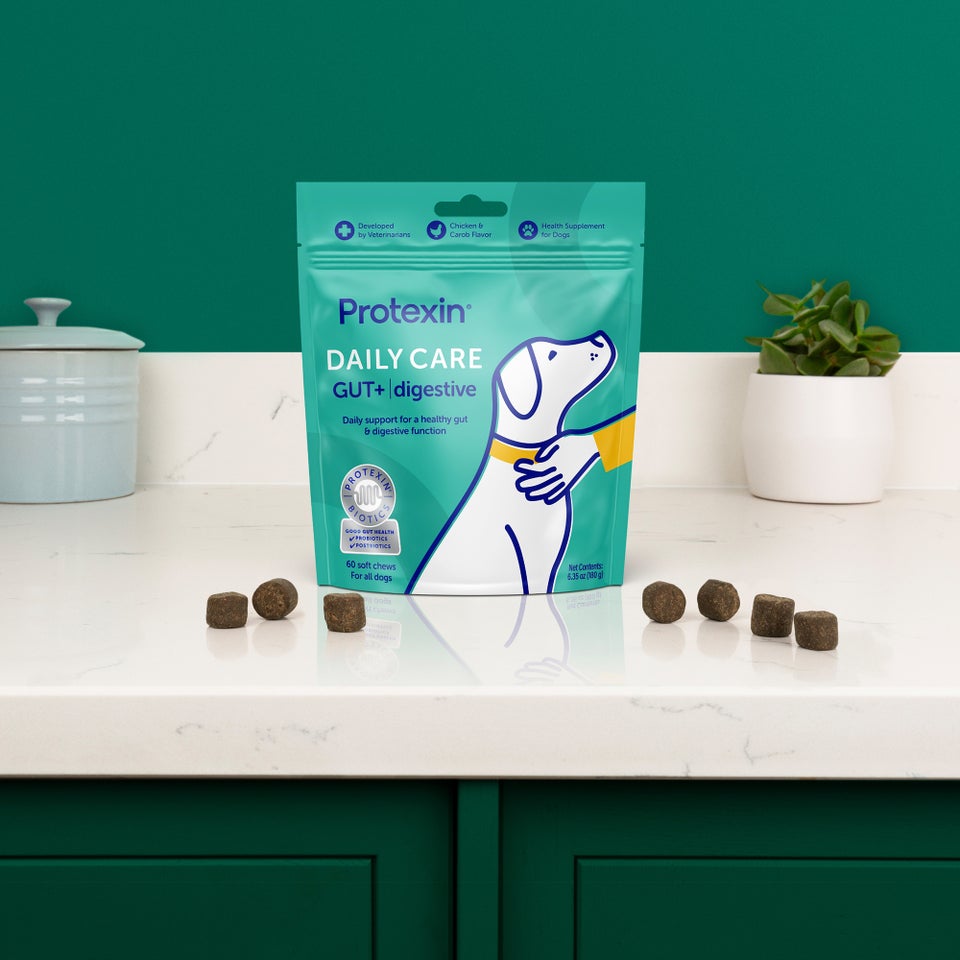Protexin Daily Care Gut+ Digestive
