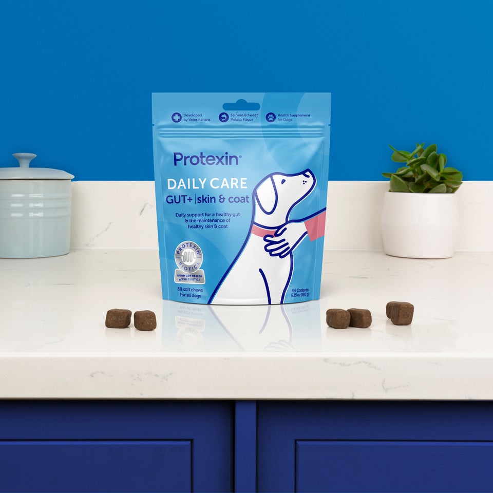 Protexin Daily Care Gut+ Skin & Coat