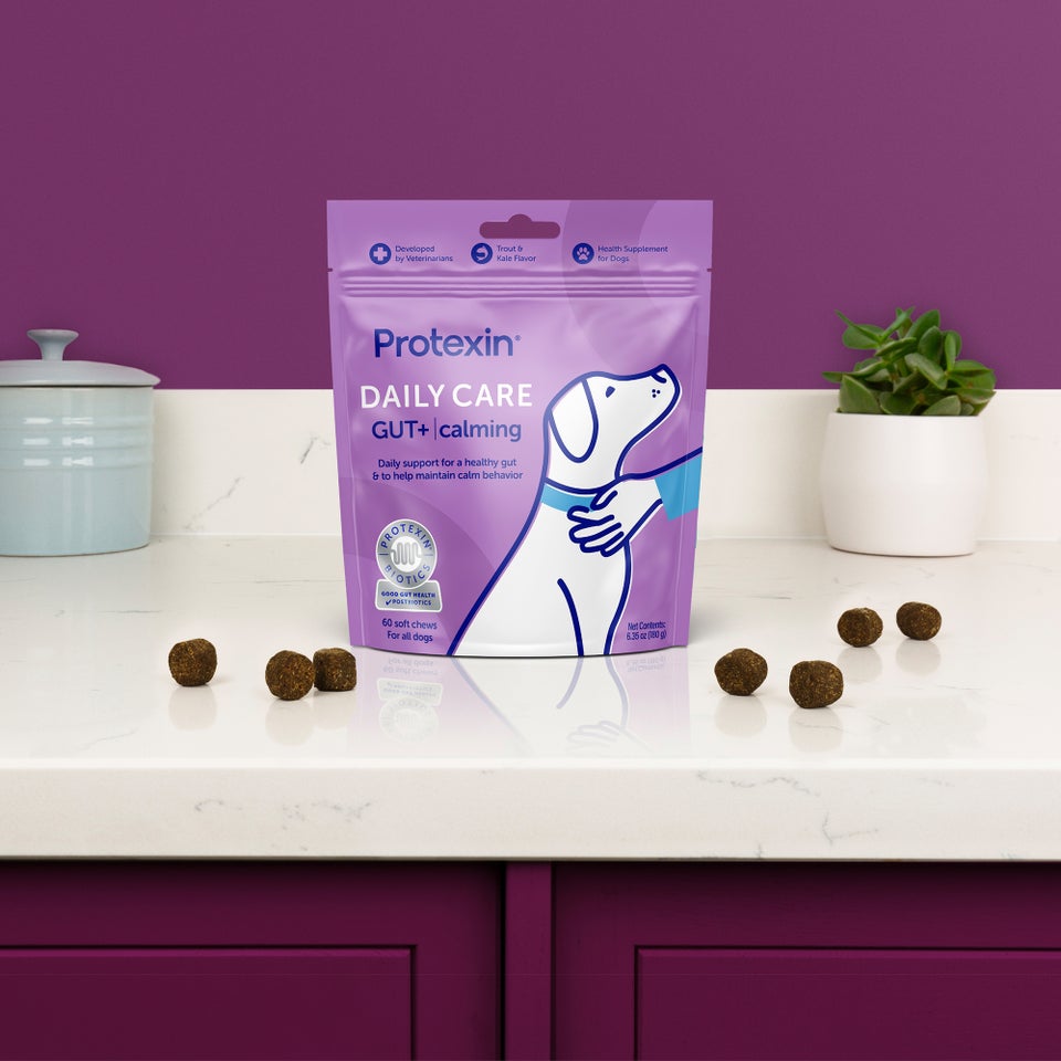 Protexin Daily Care Gut+ Calming