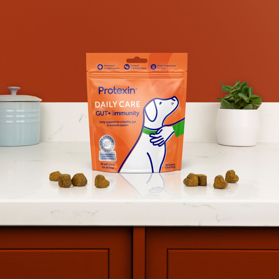Protexin Daily Care Gut+ Immunity