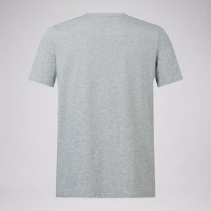 Adult Unisex British & Irish Lions Monument Tee Grey Marl