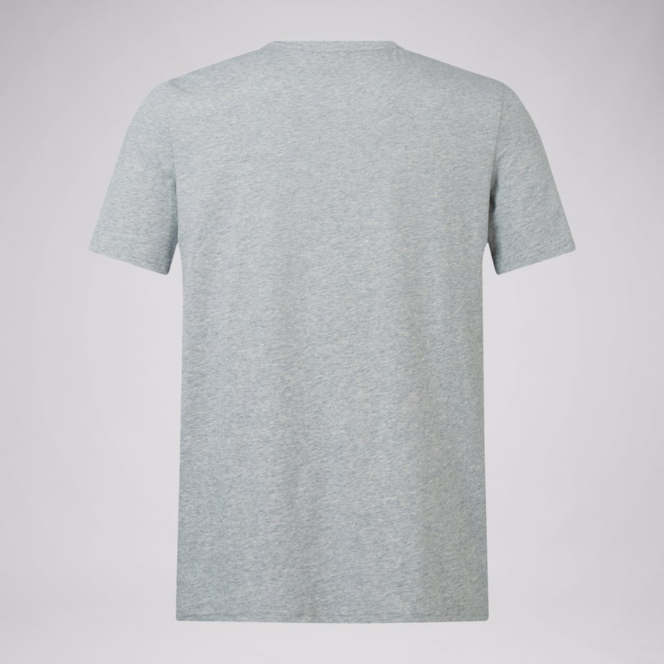 Adult Unisex British & Irish Lions Monument Tee Grey Marl