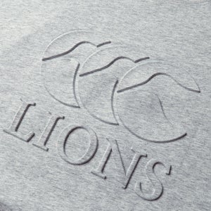 Adult Unisex British & Irish Lions Monument Tee Grey Marl