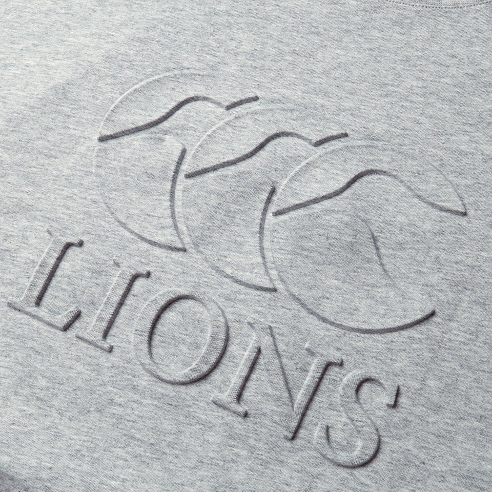 Adult Unisex British & Irish Lions Monument Tee Grey Marl