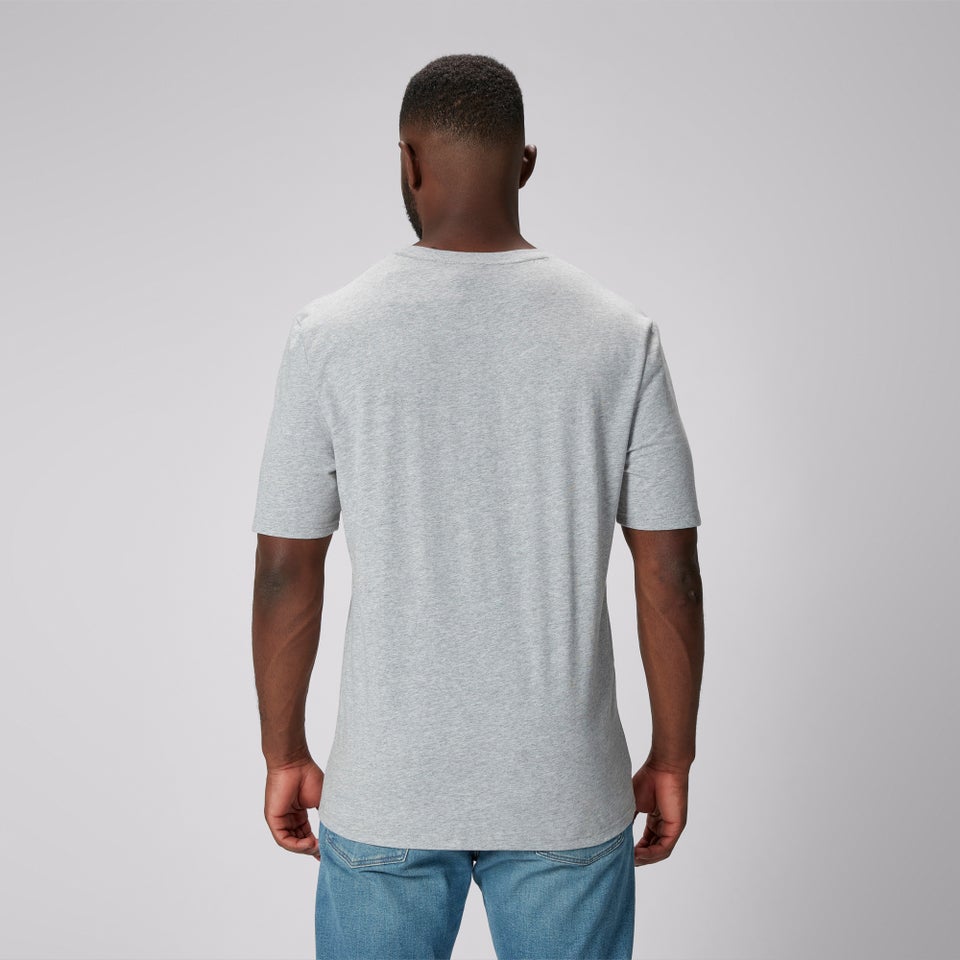 Adult Unisex British & Irish Lions Monument Tee Grey Marl