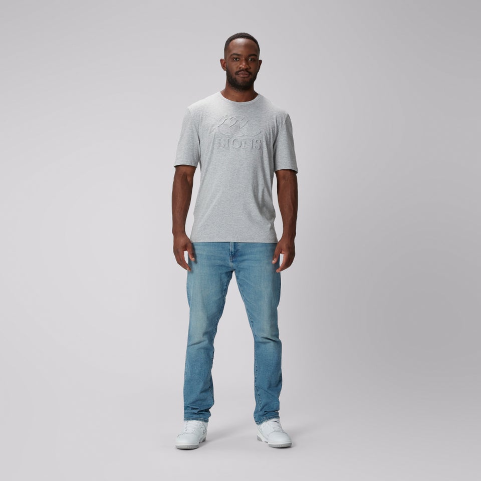 Adult Unisex British & Irish Lions Monument Tee Grey Marl