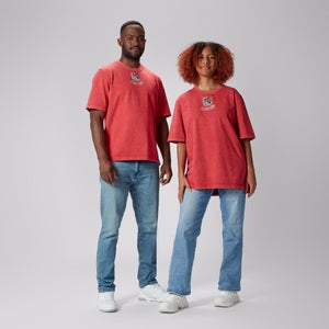 BRITISH & IRISH LIONS CCC HERITAGE T-SHIRT RED