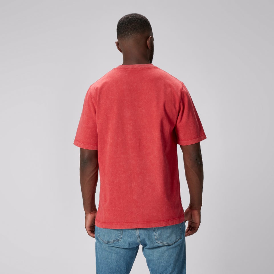 Adult Unisex British & Irish Lions CCC Heritage Tee Red