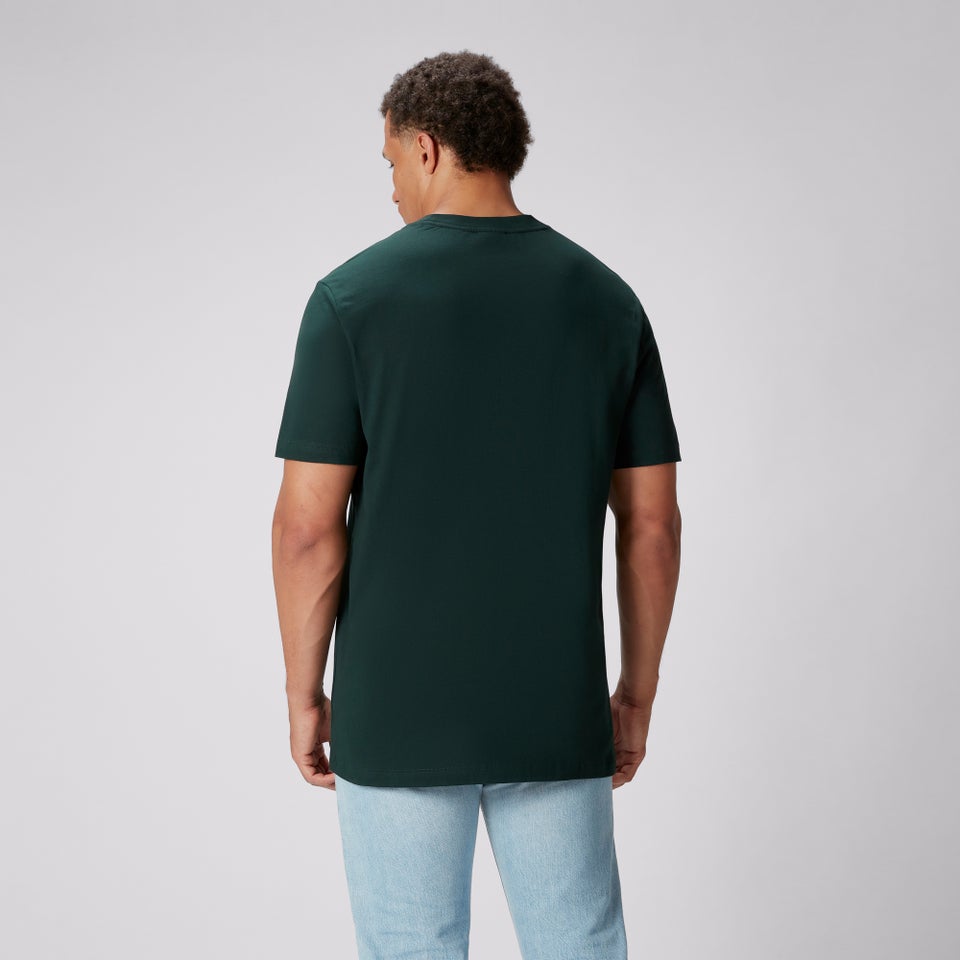 Mens British & Irish Lions Cotton Jersey Tee Green