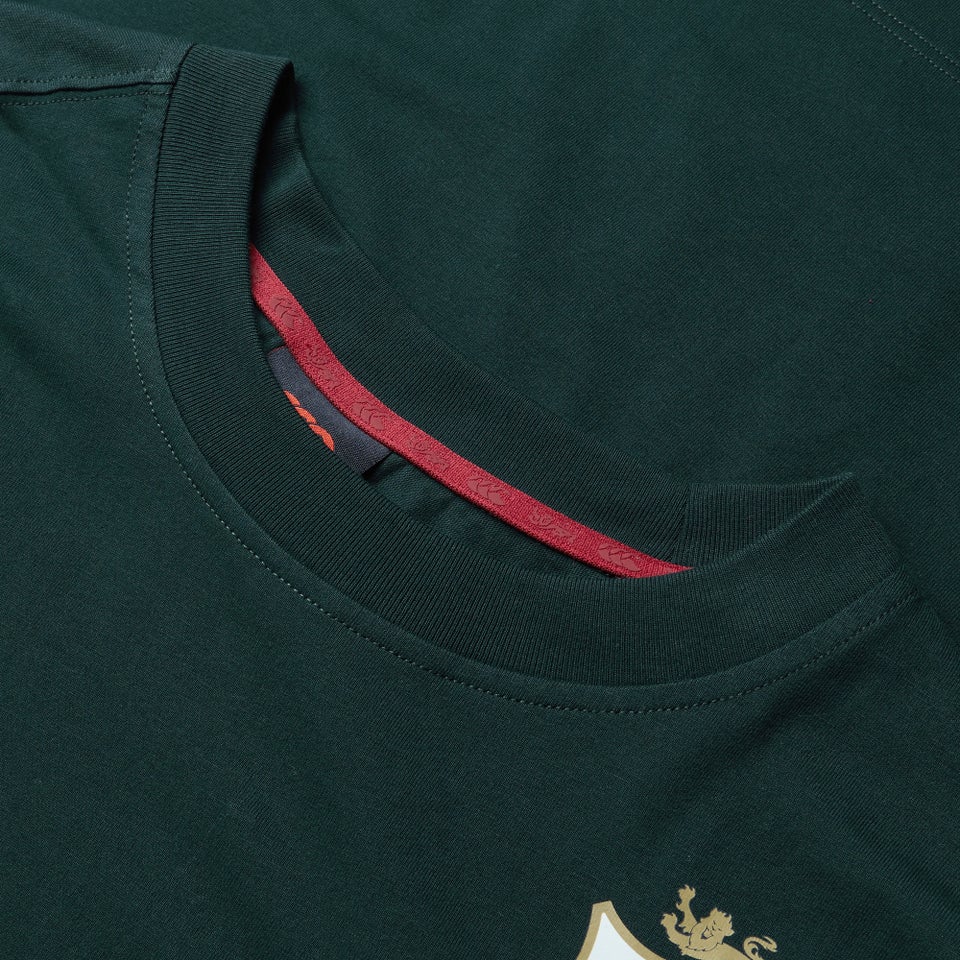 Mens British & Irish Lions Cotton Jersey Tee Green