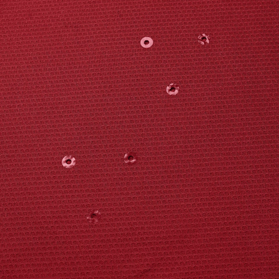 Mens British & Irish Lions Everest Tee Red