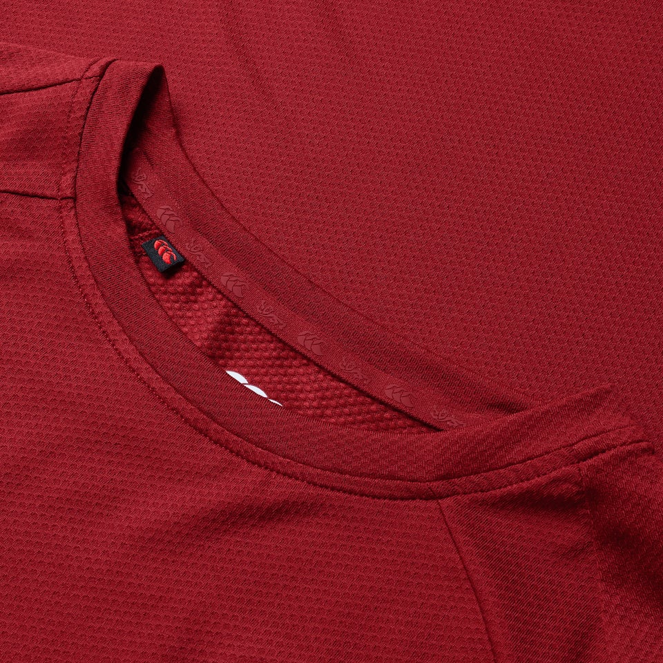 Mens British & Irish Lions Everest Tee Red