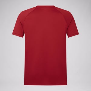 Mens British & Irish Lions Polo Shirt Red