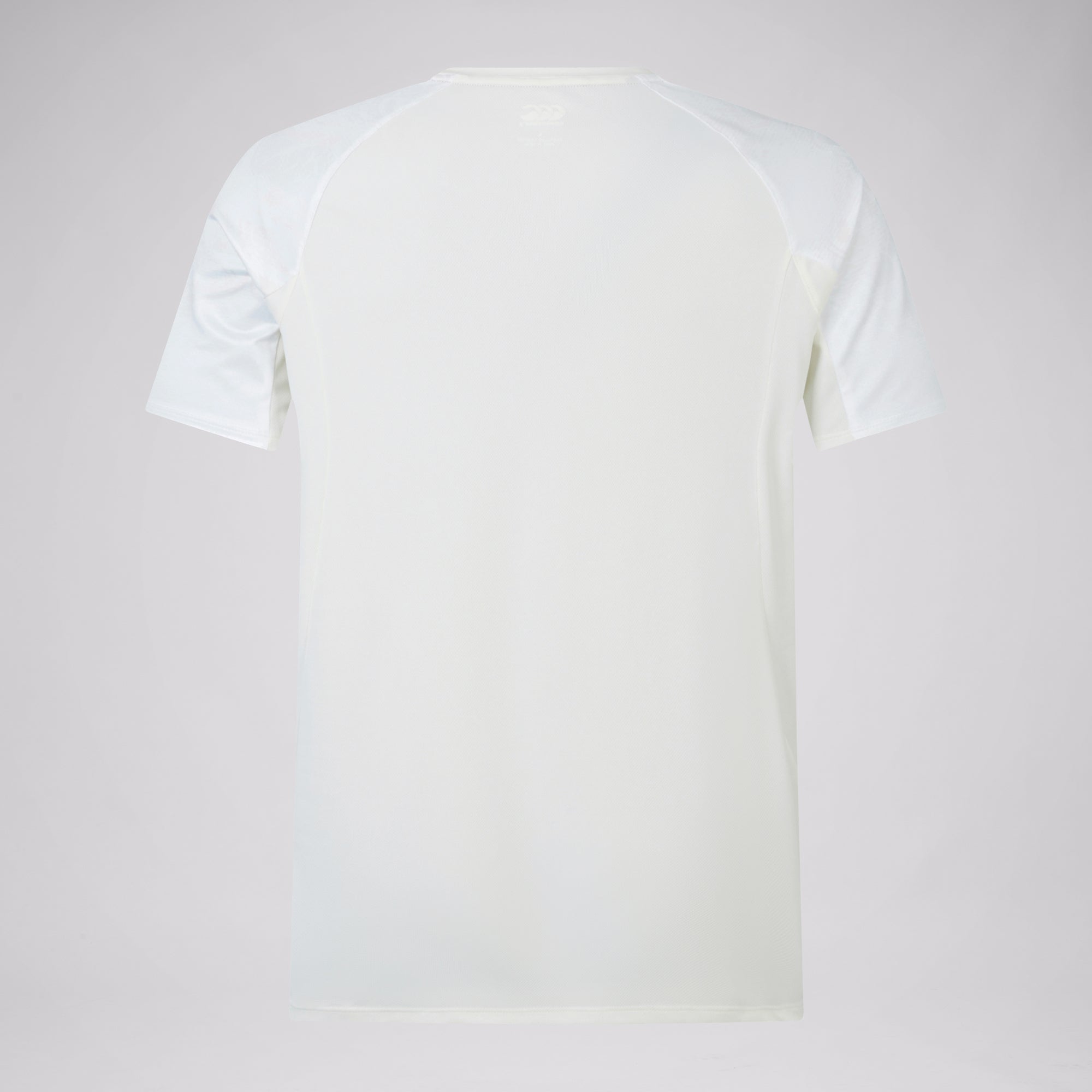 Mens British & Irish Lions Superlight Tee Cream | Canterbury