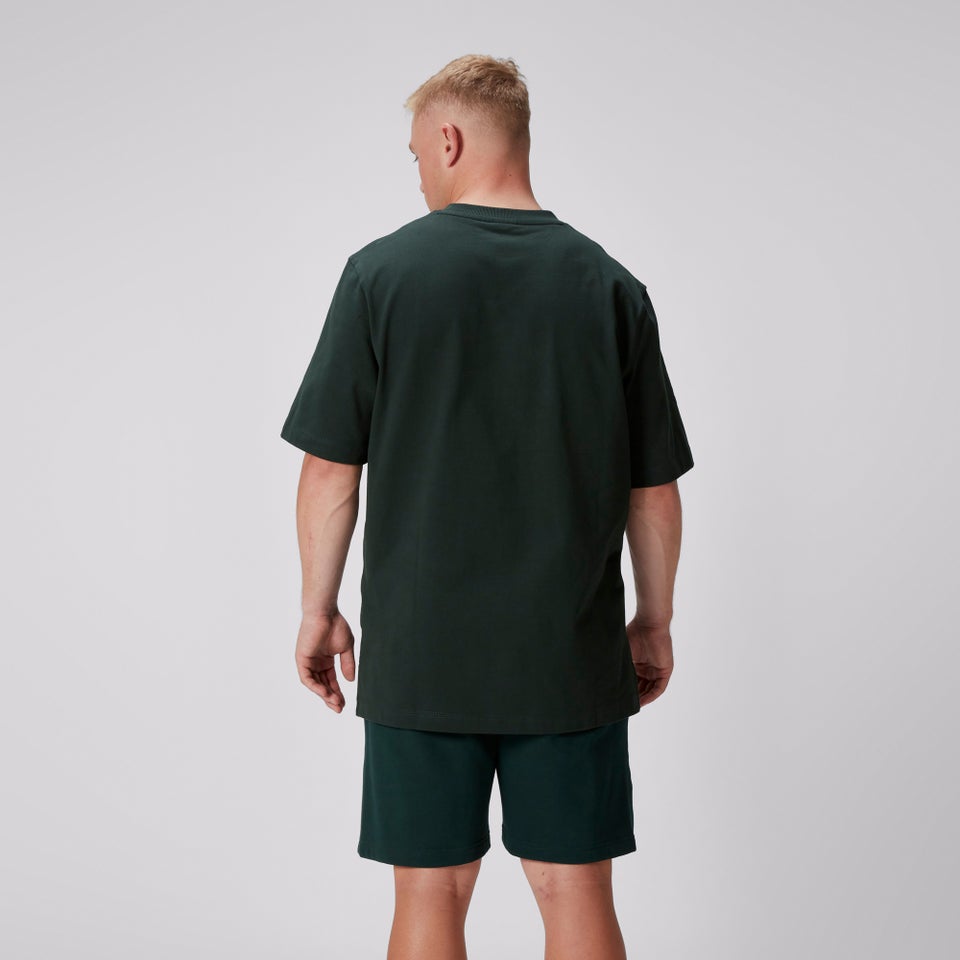 Adult Unisex British & Irish Lions Stealth Cotton Tee Green