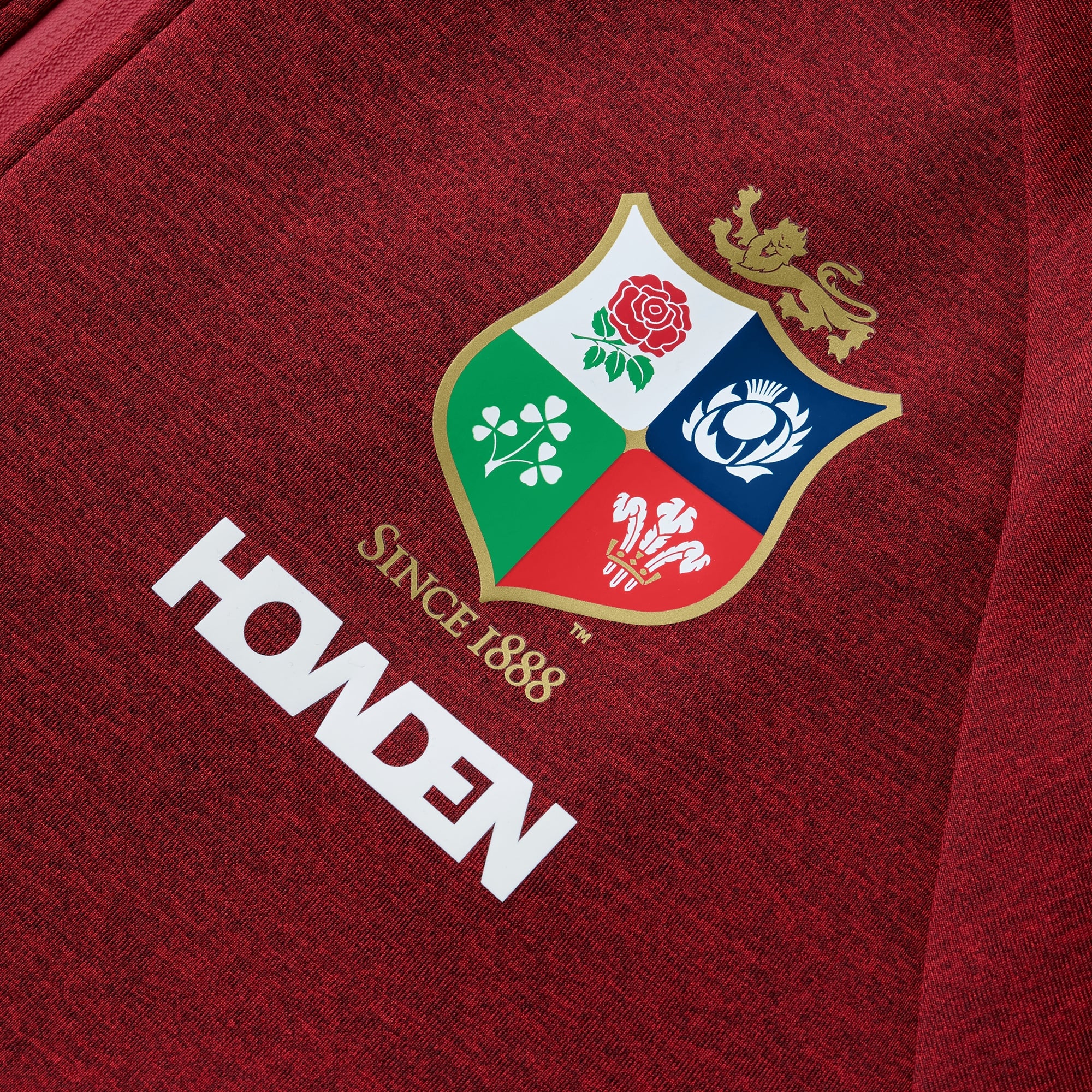 Mens British & Irish Lions Everest Hoody Red | Canterbury