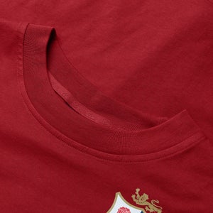 Womens British & Irish Lions Cotton Jersey Tee Red