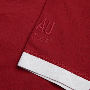 MENS BRITISH & IRISH LIONS CCC PLAYERS JERSEY RED