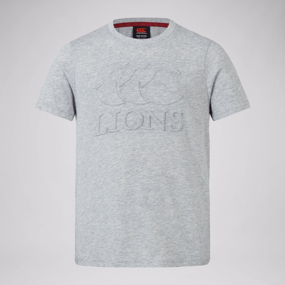 Junior Unisex British & Irish Lions Monument Tee Grey Marl