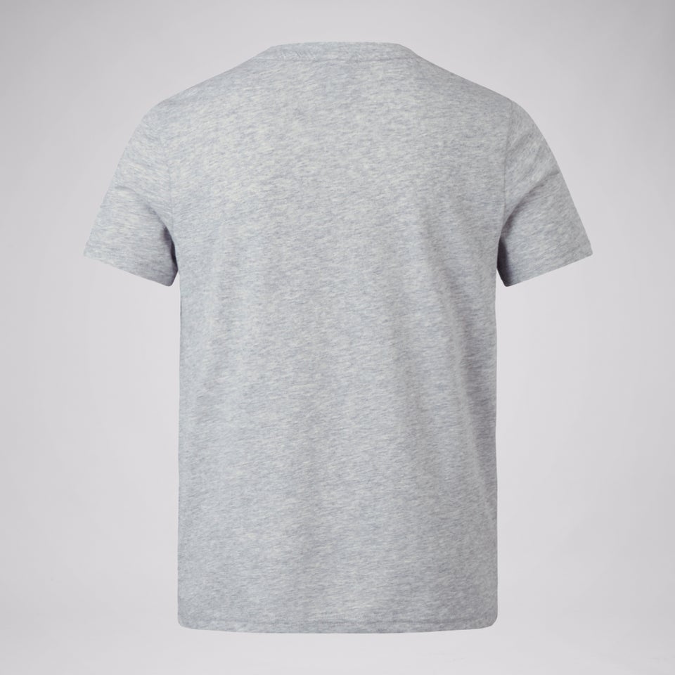 Junior Unisex British & Irish Lions Monument Tee Grey Marl