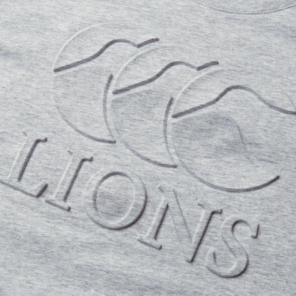 Junior Unisex British & Irish Lions Monument Tee Grey Marl