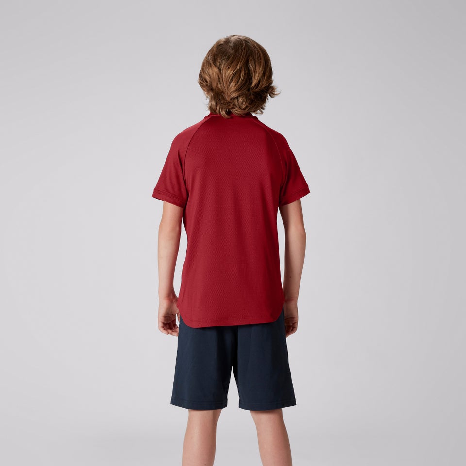 Junior Unisex British & Irish Lions Polo Shirt Red