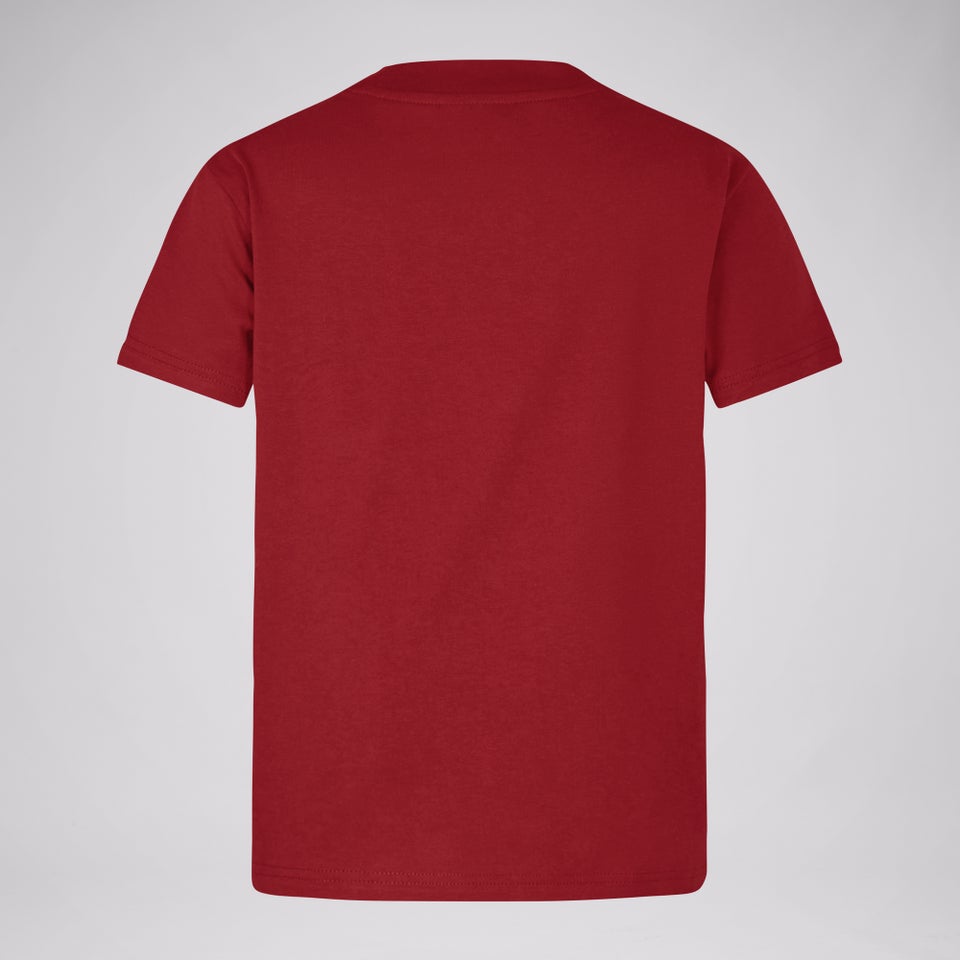 Junior Unisex British & Irish Lions Little Lions Tee Red