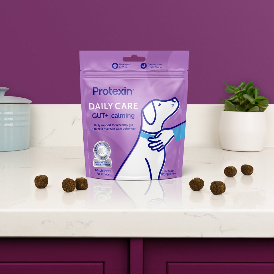 Daily Care Gut+ Calming - 60 Chews