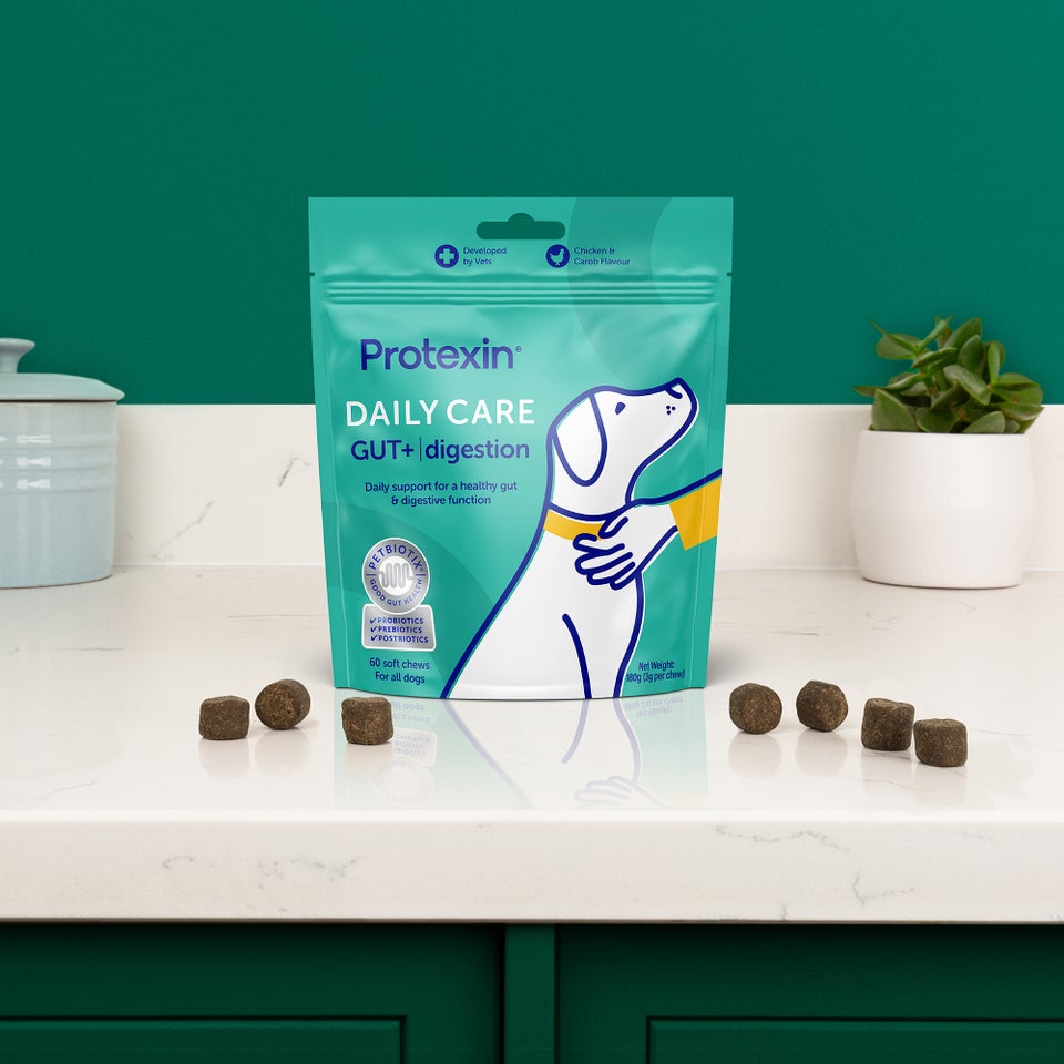 Daily Care Gut+ Digestion - 60 Chews