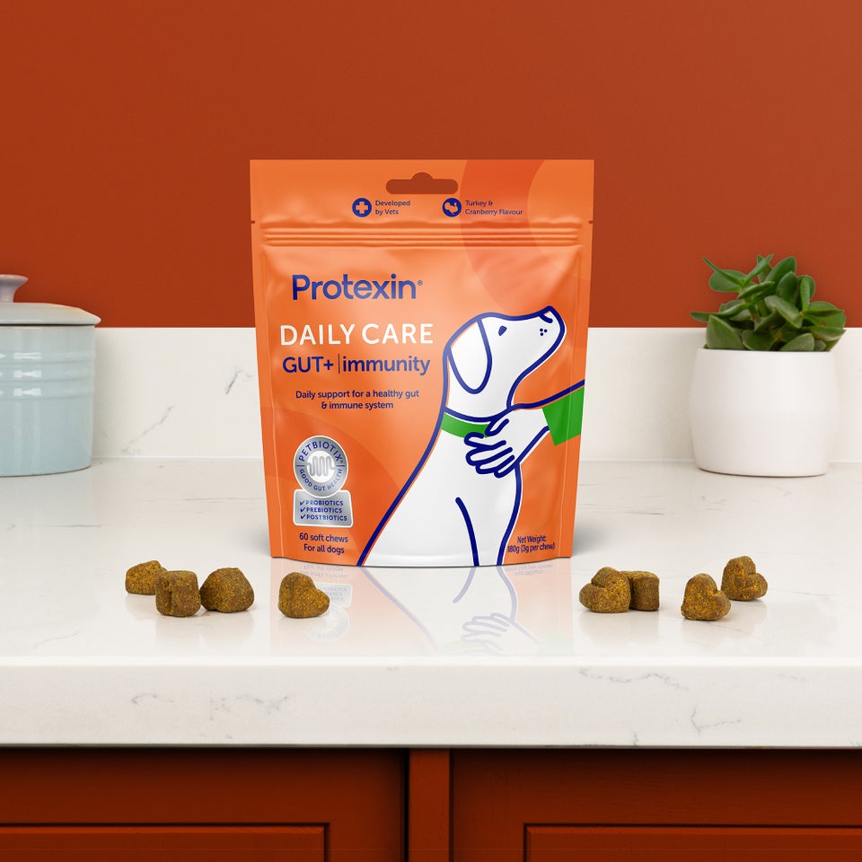 Daily Care Gut+ Immunity - 60 Chews