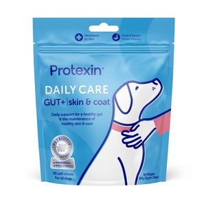 Daily Care Gut+ Skin & Coat - 60 Chews