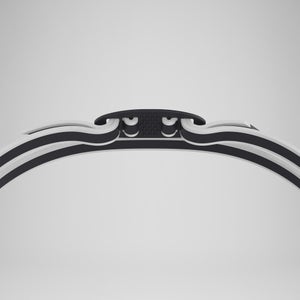 Lunettes de bain Adulte Vanquisher 3.0 noir/fumé