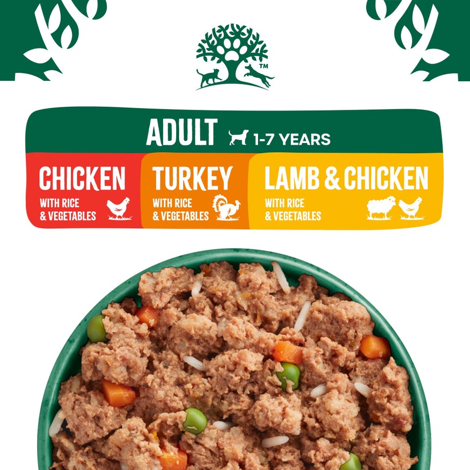 Adult Turkey, Lamb and Chicken in Loaf Wet Dog Food 12 cans