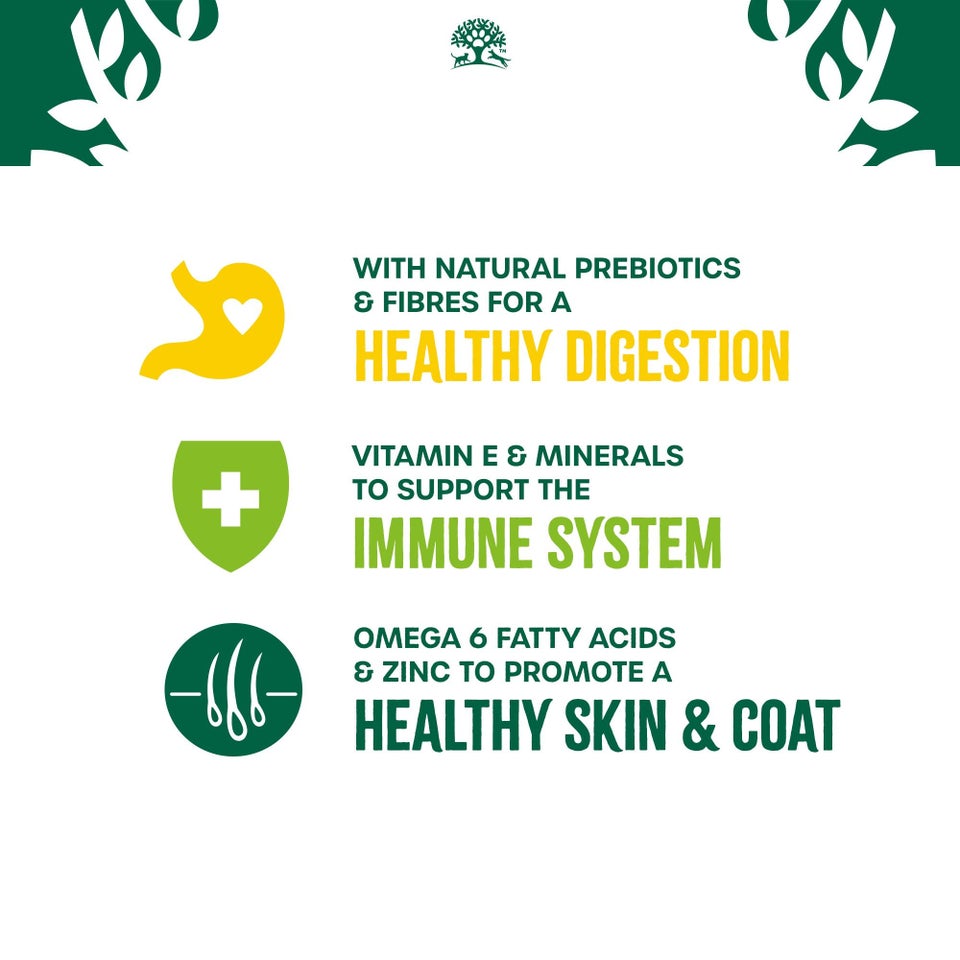 Adult Chicken in Jelly Grain Free Wet Cat Food Pouches 48 pouches