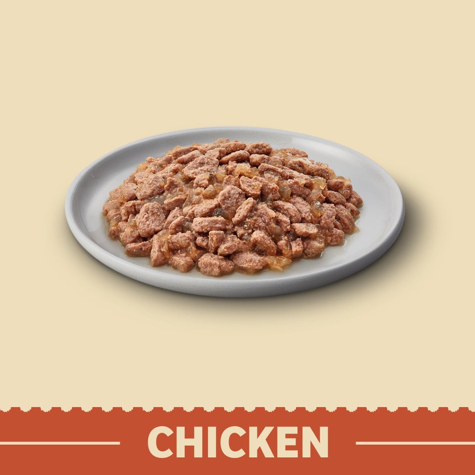 Senior Chicken in Jelly Grain Free Wet Cat Food Pouches