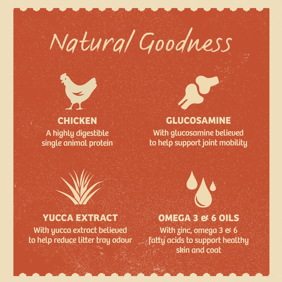 Senior Chicken in Jelly Grain Free Wet Cat Food Pouches 12 pouches