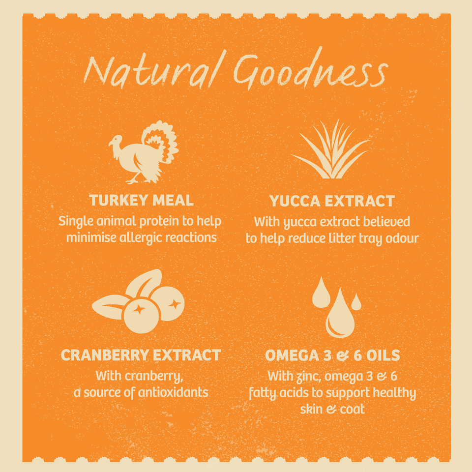 Adult Turkey In Gravy Grain Free Wet Cat Food Pouches 24 pouches