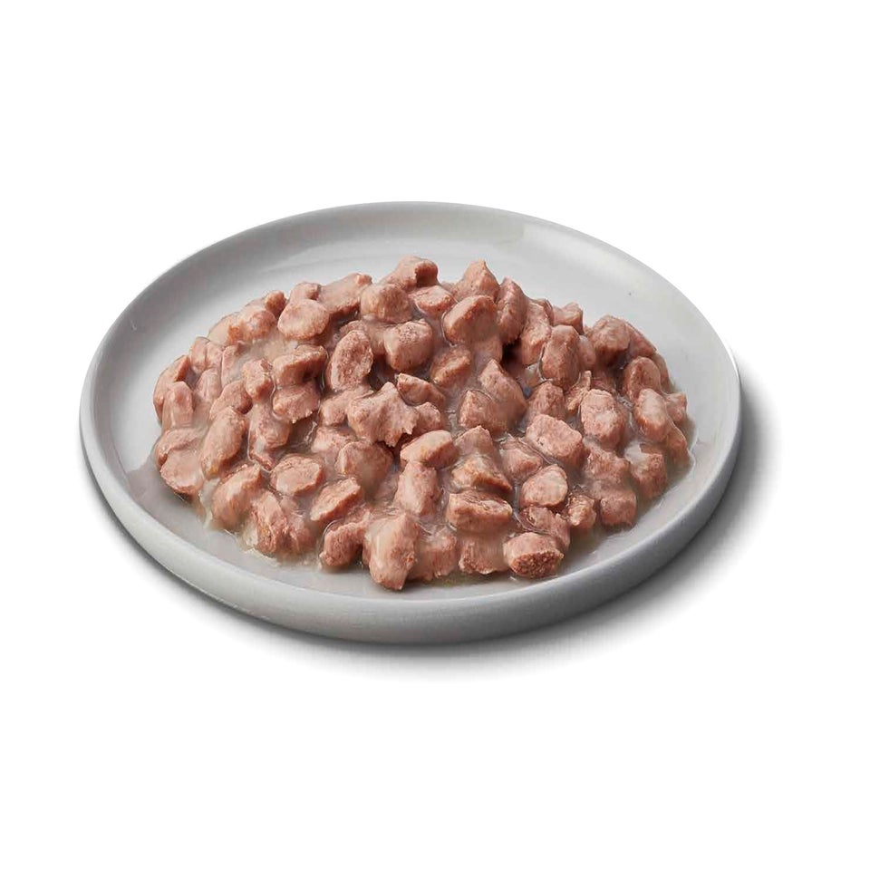 Adult Turkey In Gravy Grain Free Wet Cat Food Pouches 24 pouches