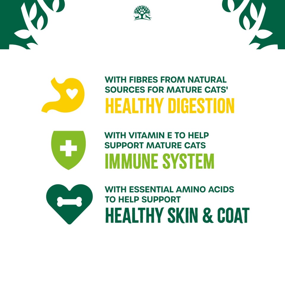 Senior Turkey in Gravy Grain Free Wet Cat Food Pouches