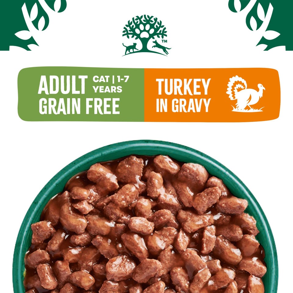 Senior Turkey in Gravy Grain Free Wet Cat Food Pouches 48 pouches