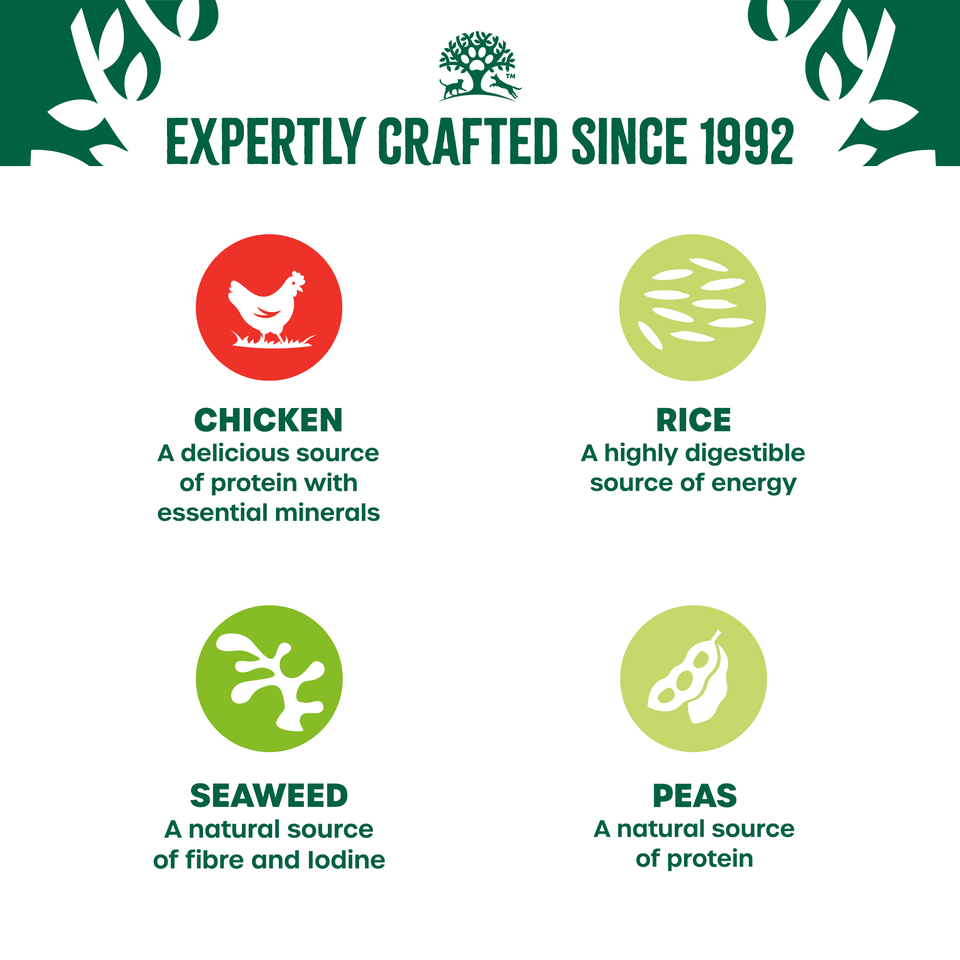 Adult Chicken & Rice in Loaf Can Wet Dog Food