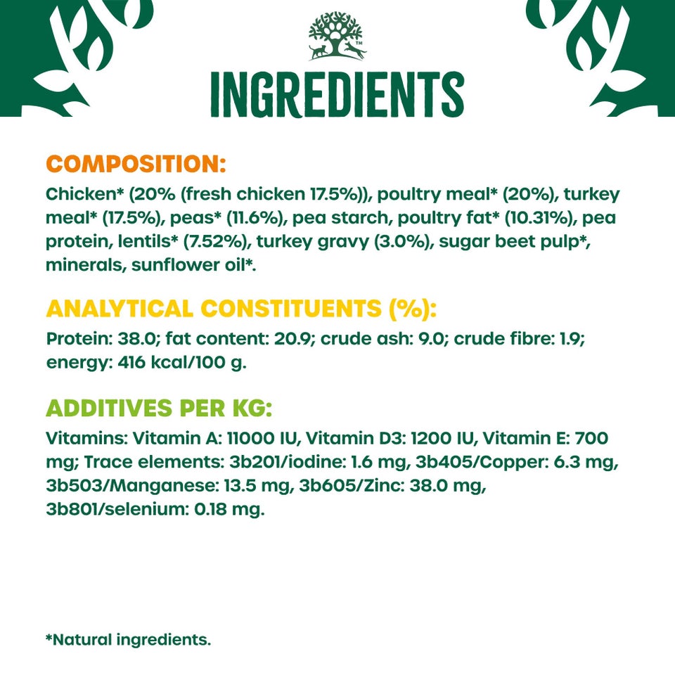 Adult Chicken & Turkey High Protein Dry Dog Food