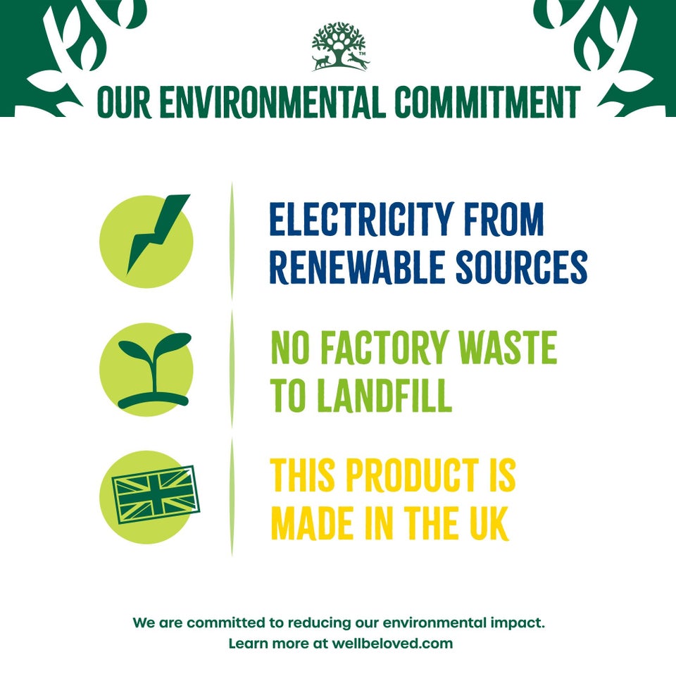 Adult Chicken & Turkey High Protein Dry Dog Food