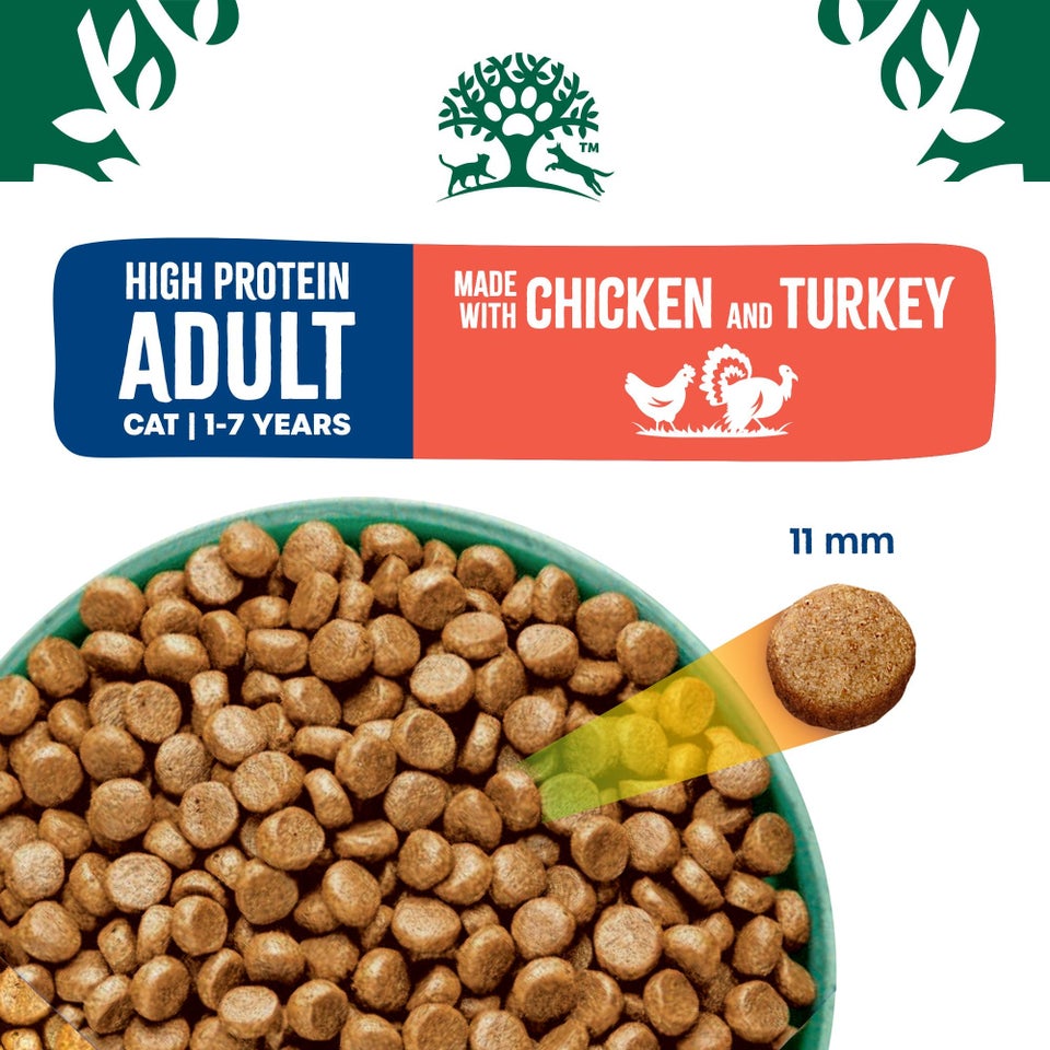Adult Chicken & Turkey High Protein Dry Cat Food