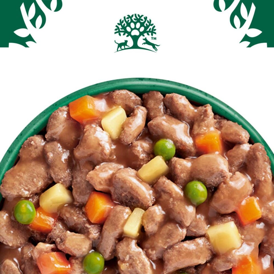 Adult Hund Nass ohne Getreide Lamm & Huhn mit Gemüse in Sauce, Portionsbeutel