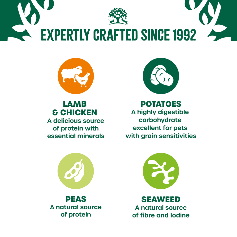 Puppy Lamb & Chicken in Gravy Grain Free Wet Dog Food Pouches 12 pouches