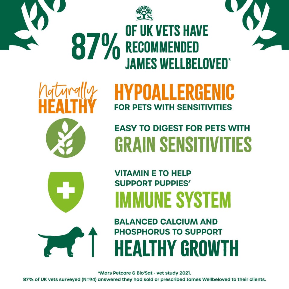 Puppy Lamb & Chicken in Gravy Grain Free Wet Dog Food Pouches 12 pouches