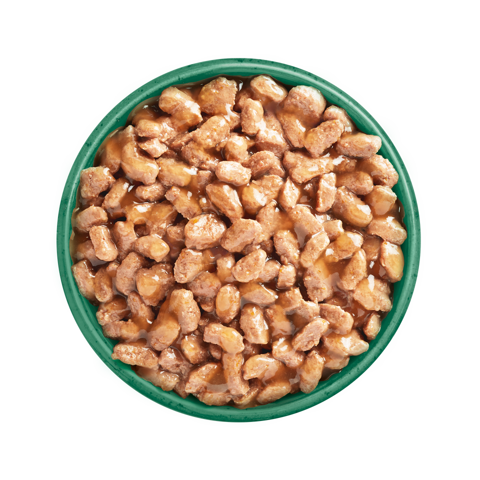 Adult Salmon in Gravy Grain Free Wet Cat Food Pouches 48 pouches