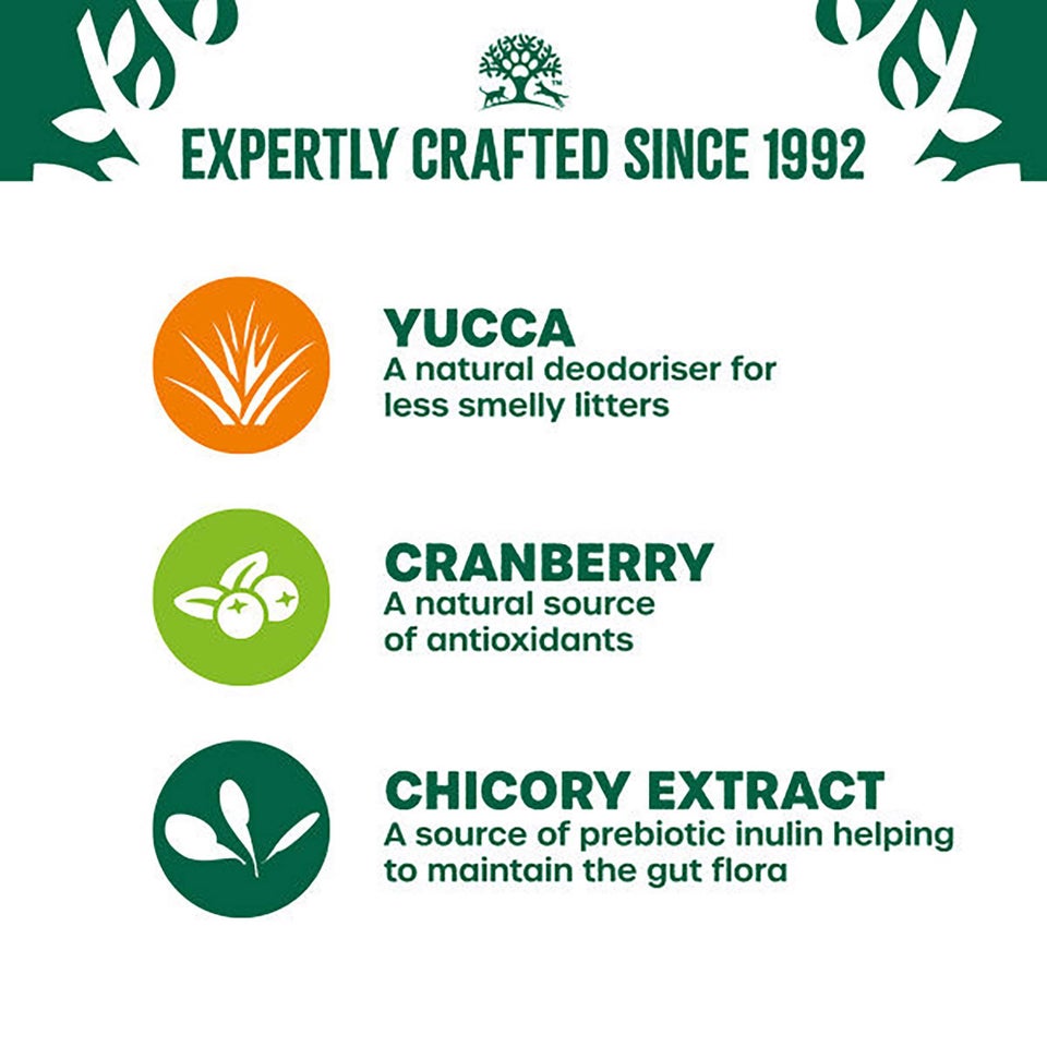 Adult Salmon in Gravy Grain Free Wet Cat Food Pouches 48 pouches